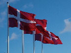 image/_dannebrogsflag-35.jpg