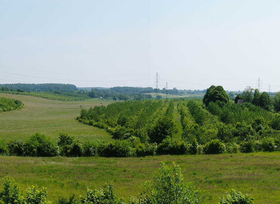 Panorama - Udsigt fra Skenkelsø Mølle