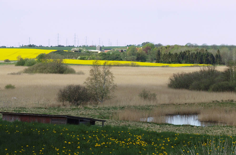 Panorama - Udsigt over Værebro Ådal og Løjesø