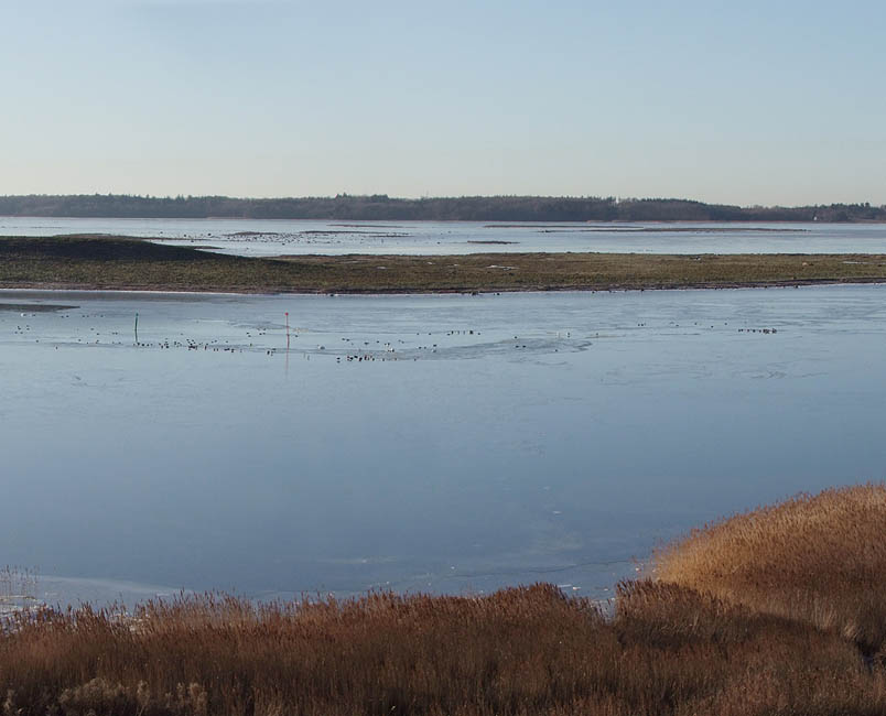 Panorama - Udsigt over en isdækket Roskilde Fjord