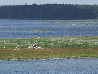 image/_roskilde_fjord-2230.jpg