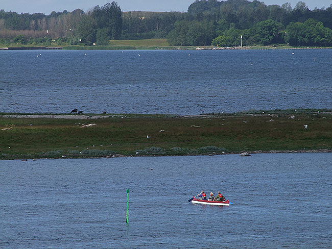 image/roskilde_fjord-2233.jpg