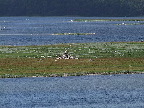 image/_roskilde_fjord-2231.jpg