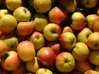 image/_graese_frugtplantage-20.jpg