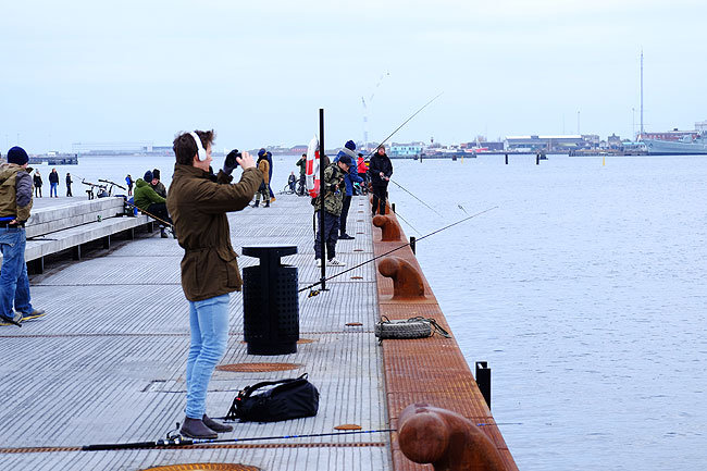 image/lystfiskeri_i_havnen-5559.jpg