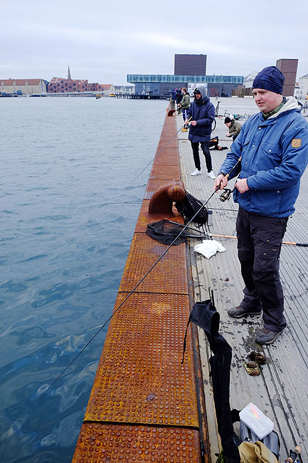 image/lystfiskeri_i_havnen-5571.jpg