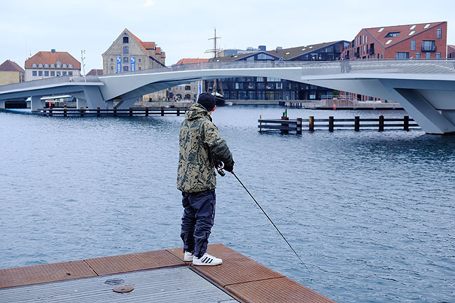 image/lystfiskeri_i_havnen-5587.jpg