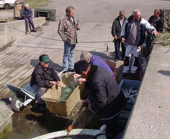 image/aktivitet_paa_havnen-61.jpg