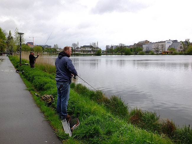 image/streetfishing_2015-7833.jpg