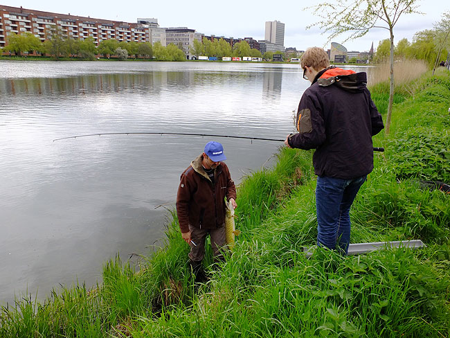 image/streetfishing_2015-7845.jpg