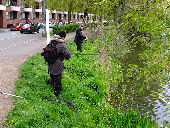 image/streetfishing_2015-7872.jpg