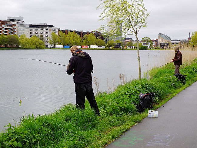 image/streetfishing_2015-7978.jpg