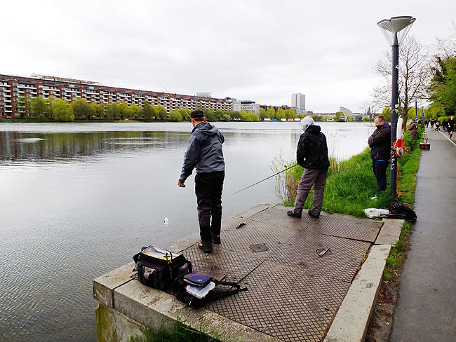 image/streetfishing_2015-7986.jpg