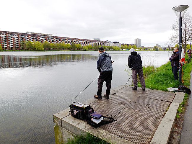 image/streetfishing_2015-7988.jpg