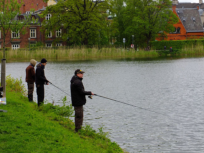 image/streetfishing_2015-8069.jpg