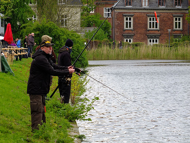 image/streetfishing_2015-8071.jpg