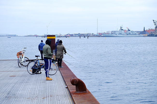 image/lystfiskeri_i_havnen-5576.jpg