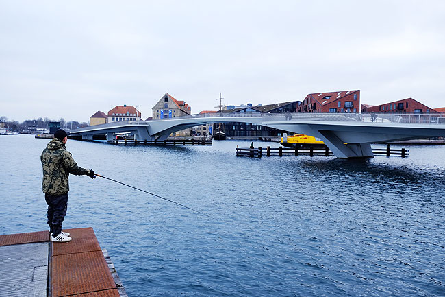 image/lystfiskeri_i_havnen-5588.jpg