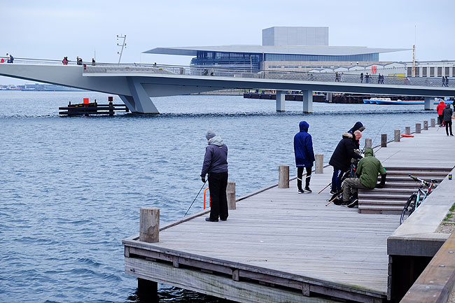 image/lystfiskeri_i_havnen-5622.jpg