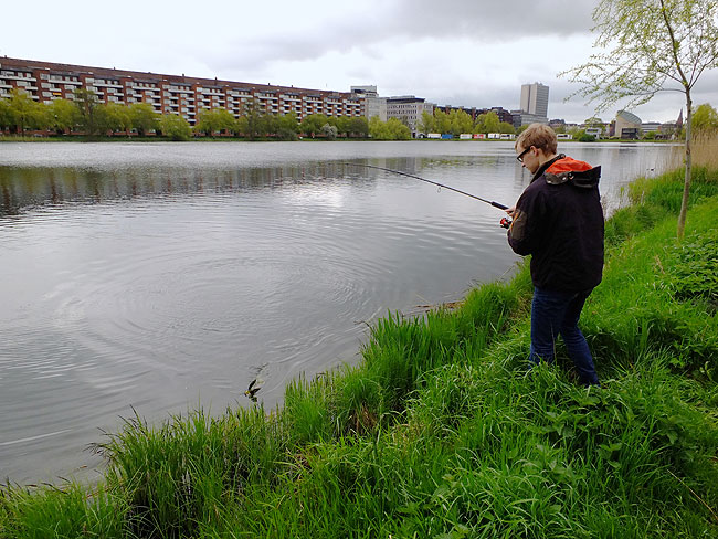 image/streetfishing_2015-7840.jpg