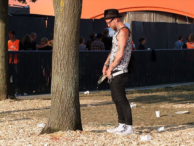 image/roskilde_festival-9053.jpg