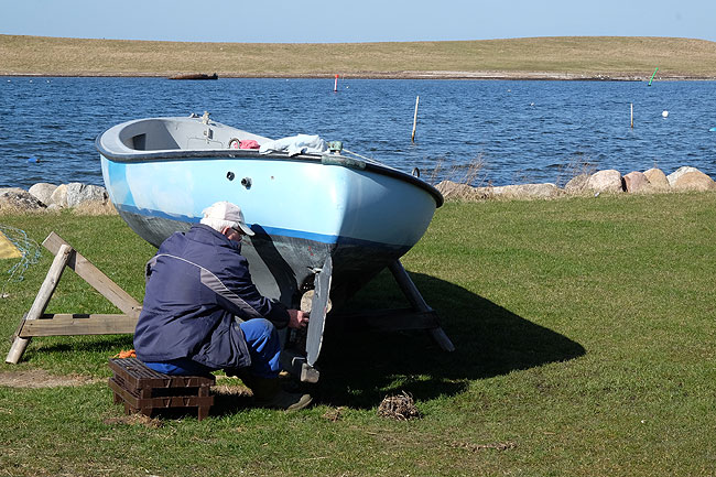 image/foraar_paa_havnen-6262.jpg