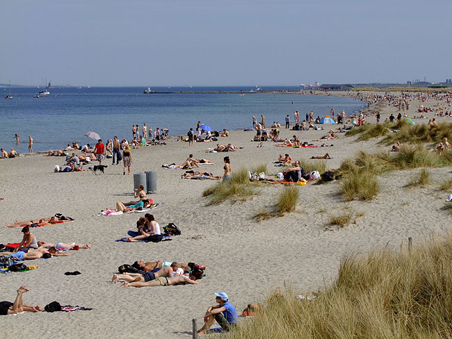 image/amager_strandpark-635.jpg