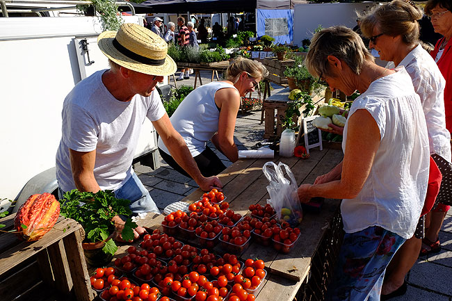 image/torvedag_roskilde-3734.jpg