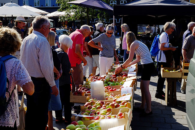 image/torvedag_roskilde-3751.jpg