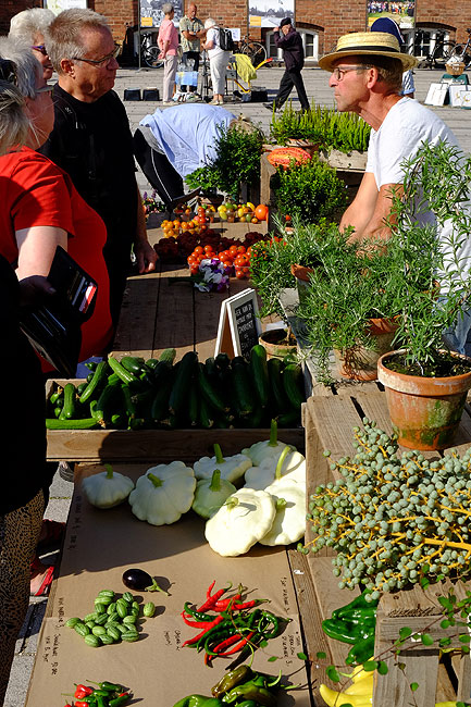 image/torvedag_roskilde-3758.jpg