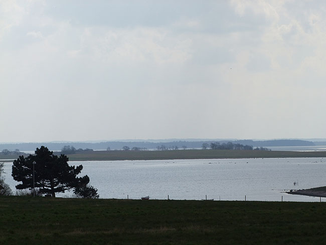 image/roskilde_fjord-102.jpg