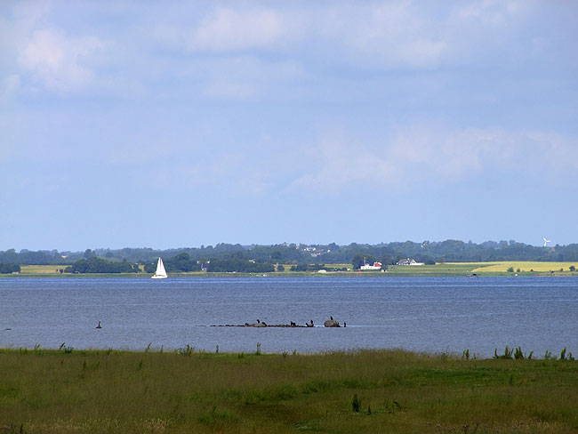 image/roskilde_fjord-603.jpg