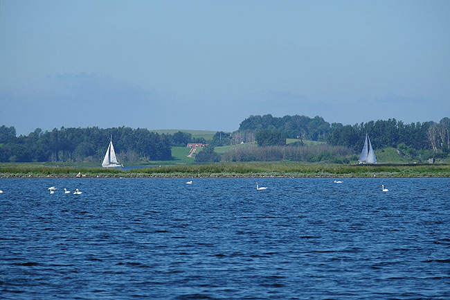 image/roskilde_fjord-8599.jpg