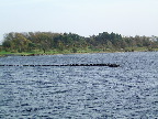 image/_roskilde_fjord-11.jpg