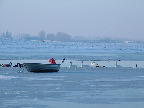 image/_roskilde-fjord_vinter-01.jpg