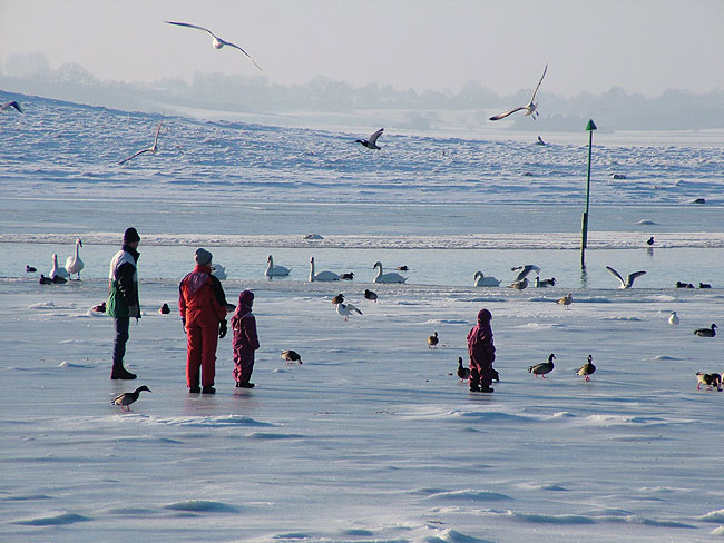 image/roskilde-fjord_vinter-02.jpg