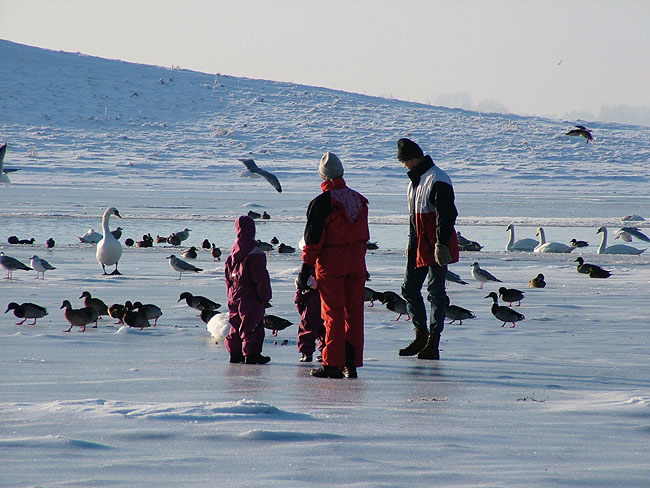 image/roskilde_fjord-vinter-03.jpg