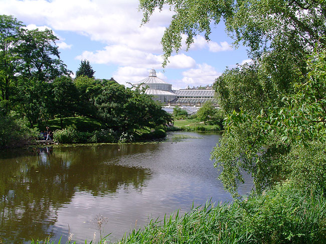 image/botanisk_have-006.jpg