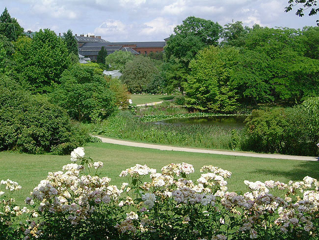 image/botanisk_have-041.jpg