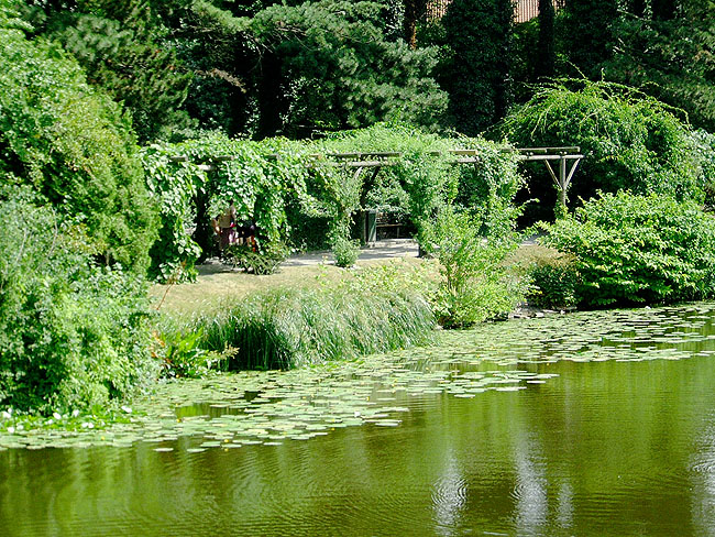 image/botanisk_have-048.jpg