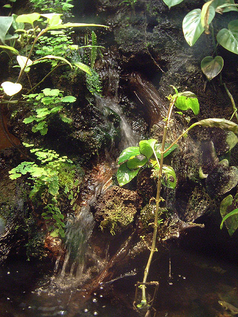 image/danmarks_akvarium-093.jpg