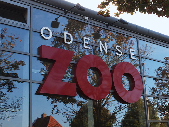 image/odense_zoo-1795.jpg