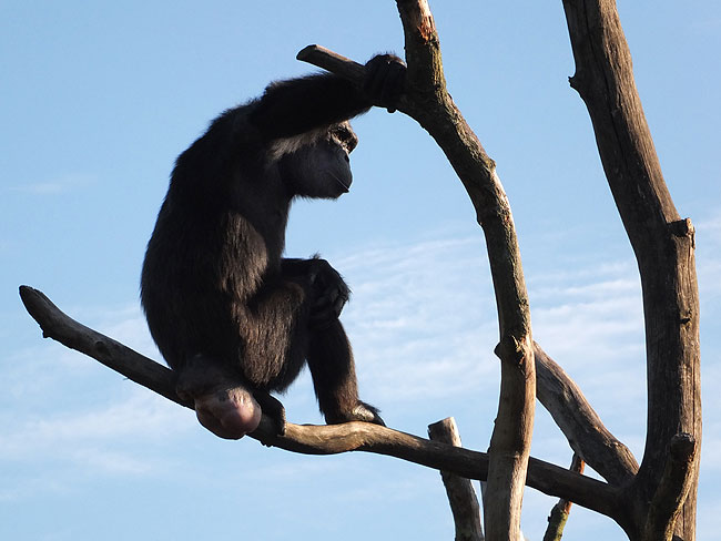 image/odense_zoo-1810.jpg